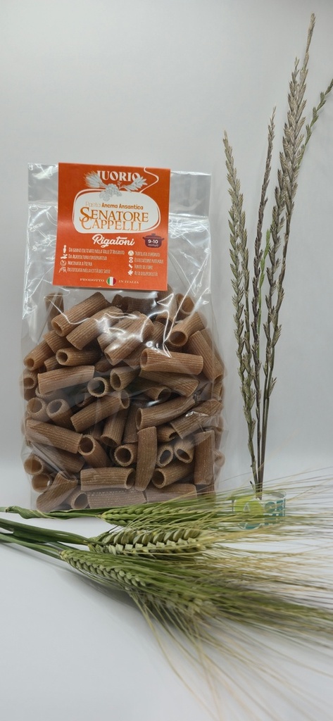 Pasta Anema Ansantica Senatore Cappelli - Rigatoni