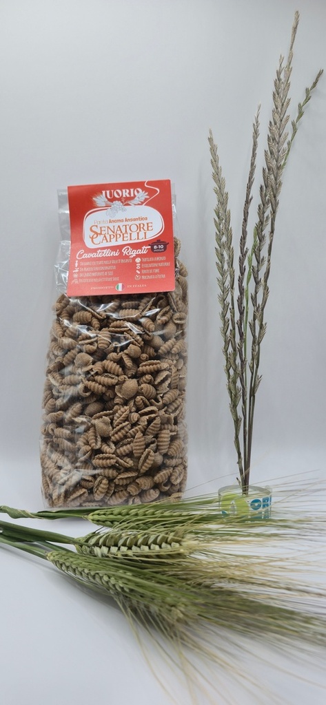 Pasta Anema Ansantica Senatore Cappelli - Cavatellini Rigati